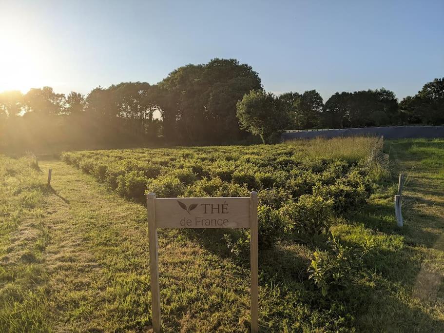 Villa Maison Typique Bretonne Avec Toit De Chaume Camors Exterior foto